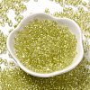 Baking Glass Seed Beads SEED-K009-07A-10-2
