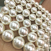 Shell Pearl Beads Strands BSHE-E008-16mm-12-2