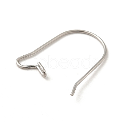 Tarnish Resistant 316 Surgical Stainless Steel Hoop Earrings Findings Kidney Ear Wires STAS-E009-6-1