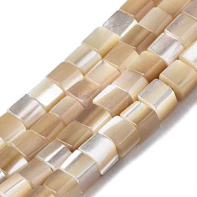 Natural Trochid Shell/Trochus Shell Beads Strands SSHEL-S266-009-1