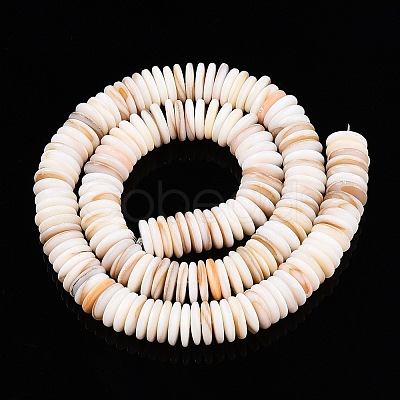 Natural Freshwater Shell Beads Strands SSHEL-T017-02-1