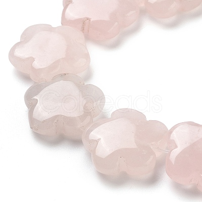 Natural Rose Quartz Beads Strands G-F769-X01-02-1