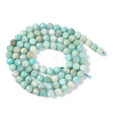 Natural Amazonite Beads Strands G-G139-A15-03-1