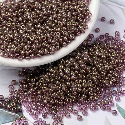 MIYUKI Round Rocailles Beads SEED-G008-RR2448-1