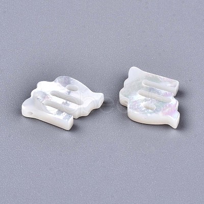 Natural White Shell Beads X-SSHEL-ZX004-02A-1