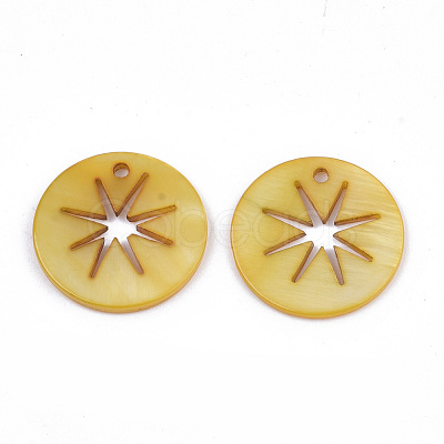 Natural Freshwater Shell Pendants SHEL-R022-02G-1