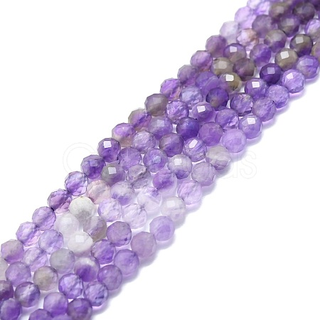 Natural Amethyst Beads Strands G-P457-A03-15-1
