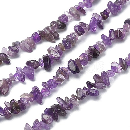Natural Amethyst Chip Beads Strands G-YW0002-09-1