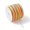 50M Segment Dyed Nylon Chinese Knotting Cord NWIR-YW0001-05A-2
