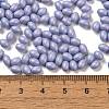 Baking Painted Glass Seed Beads SEED-C004-04I-4