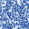 8/0 Glass Seed Beads SEED-A015-3mm-2208-2