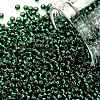 TOHO Round Seed Beads SEED-TR11-0036-1