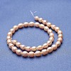 Natural Cultured Freshwater Pearl Beads Strands PEAR-P060-29A-2