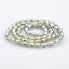 Full Rainbow Plated Glass Faceted Rice Beads Strands GLAA-A030A-FR02-2