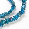 Natural Apatite Beads Strands X-G-F575-08-2