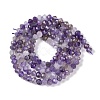 Natural Amethyst Beads Strands G-G139-B09-01-3