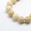 Natural Gemstone Petrified Wood Round Beads Strands G-O021-10mm-12-2