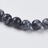 Natural Snowflake Obsidian Beads Strands G-G515-6mm-01-3