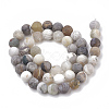 Natural Bamboo Leaf Agate Beads Strands G-T106-030-3
