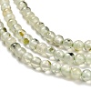 Natural Prehnite Beads Strands G-B107-E01-01-4