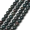 Natural Indian Bloodstone Beads Strands G-G954-02-8mm-1