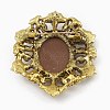 Alloy Rhinestone Brooch for Clothes Backpack JEWB-Q030-53AG-2