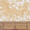 MIYUKI Delica Beads X-SEED-J020-DB1131-3