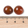 Natural Red Agate Cabochons G-B082-07C-02-3