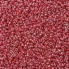 MIYUKI Round Rocailles Beads SEED-JP0008-RR0425-3