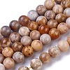 Natural Fossil Coral Beads Strands G-G779-03B-1