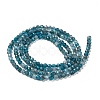 Natural Apatite Beads Strands G-K185-02-3