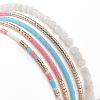 Glass Seed Beads Stretch Bracelet Sets BJEW-JB08955-6