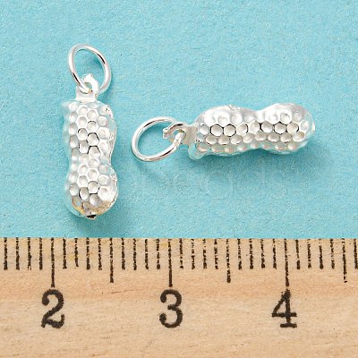 925 Sterling Silver Pendants STER-B002-10S-1