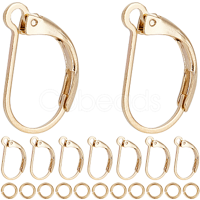 CREATCABIN 40Pcs Brass Leverback Earring Findings KK-CN0003-02-1