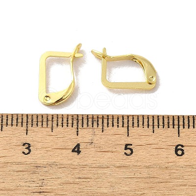 Brass Hoop Earring Findings FIND-Z039-29G-1