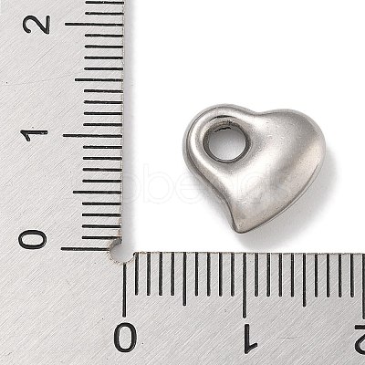 Anti-Tarnish 304 Stainless Steel Charms STAS-D197-20P-01-1