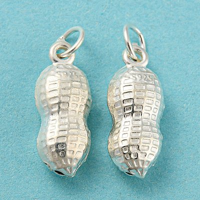 925 Sterling Silver Pendants STER-B002-12S-1