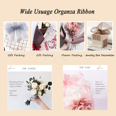 Organza Ribbon RS3mmY039-1