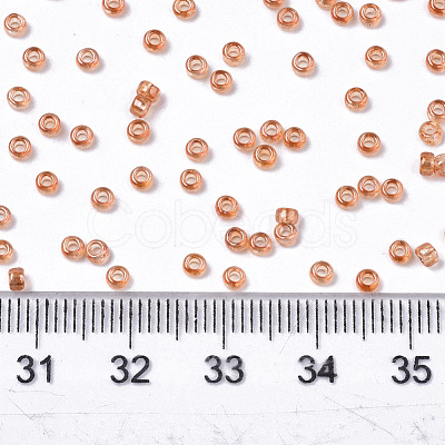 Glass Seed Beads X-SEED-S042-11A-03-1