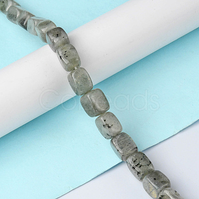 Natural Labradorite Beads Strands G-F743-02B-1