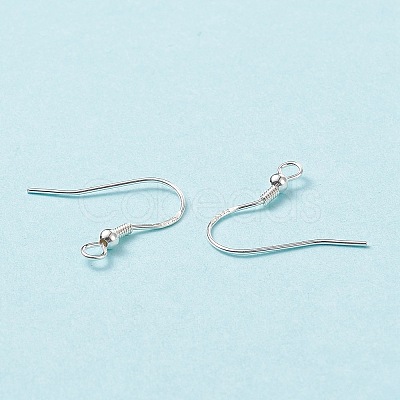 Sterling Silver Earring Hooks X-STER-G011-16-1