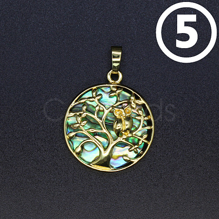 Natural Abalone Shell/Paua Shell Pendants PW-WG52198-05-1