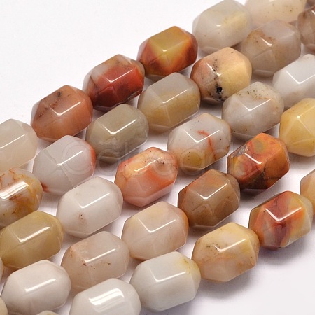 Natural Bloodstone Beads Strands G-F248-01-1
