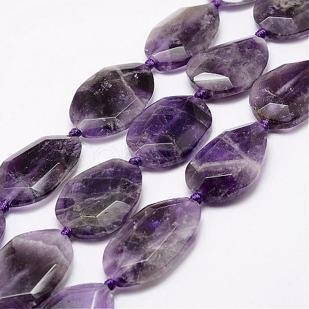 Natural Amethyst Beads Strands G-A171-09M-1
