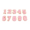 10Pcs 10 Style Computerized Embroidery Cloth Iron on/Sew on Patches, Costume Accessories, Appliques, Numbers 0~9, Pink, 54.5~55.5x26.5~40.5x3mm, 1pcs/style