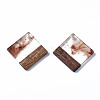 Transparent Resin & Walnut Wood Pendants RESI-T035-31B-2