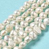 Natural Cultured Freshwater Pearl Beads Strands PEAR-E017-01-2