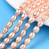 Natural Cultured Freshwater Pearl Beads Strands PEAR-N012-06S-1