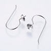 304 Stainless Steel Earring Hooks STAS-I097-063P-2