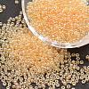 6/0 Glass Seed Beads X-SEED-J012-F6-102-1